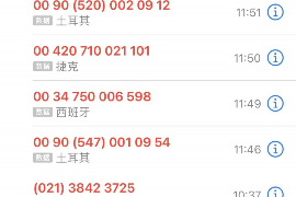 磐石债务清欠服务